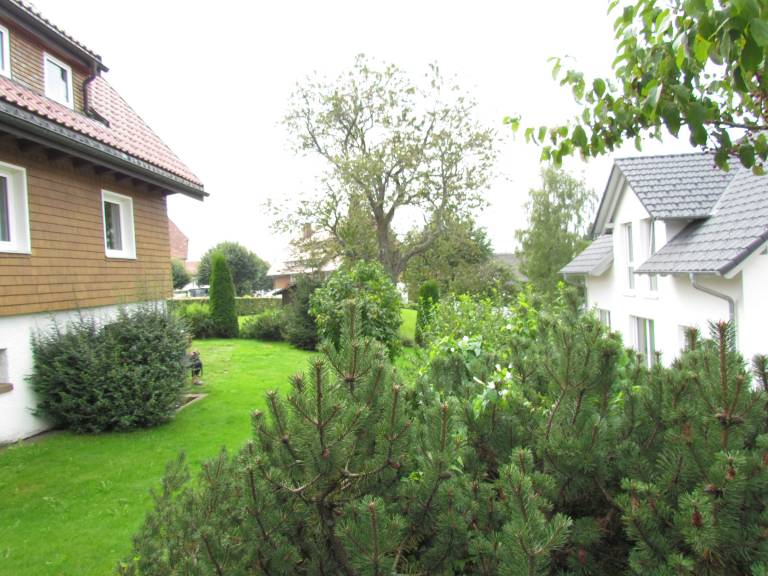 Ferienwohnung Wildgutach