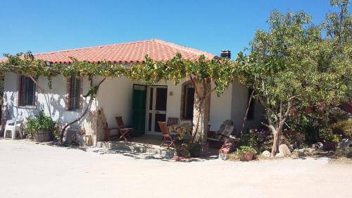 Bed & Breakfast  Loculi