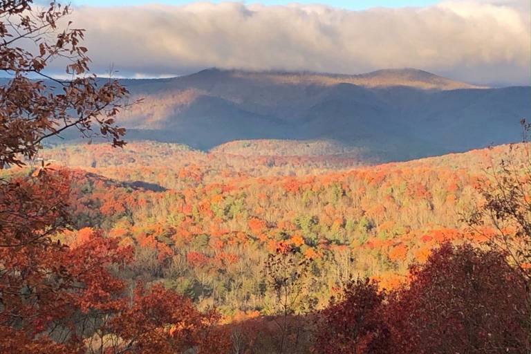 Cabin Dahlonega