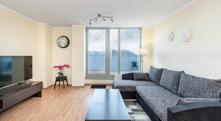 Lovely apartment | Pet-friendly in Kaunas