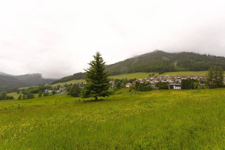 foto33
