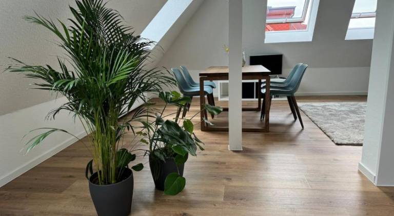Wonderful rental apartment | Pets are welcome — photo 4