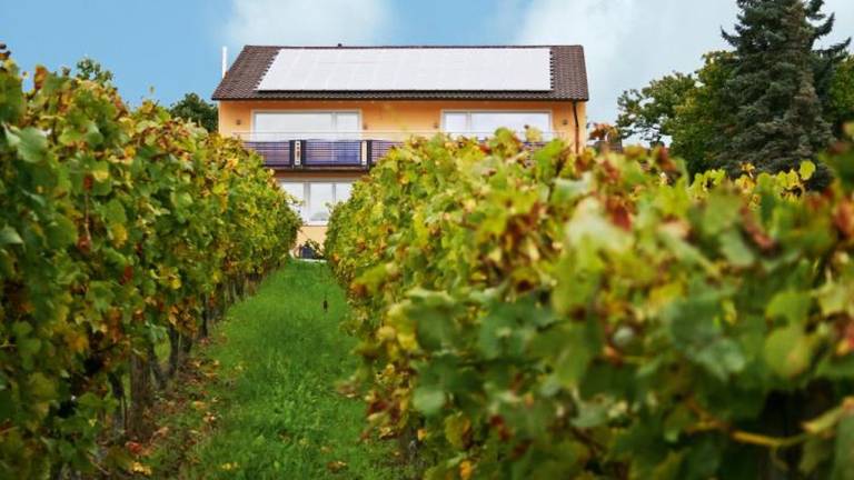 Ferienwohnung Herxheim am Berg