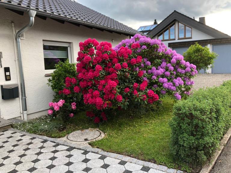 foto10