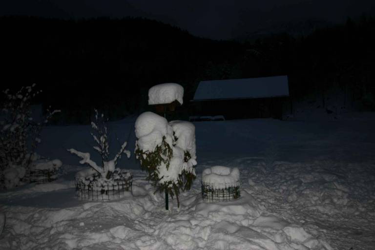 foto19