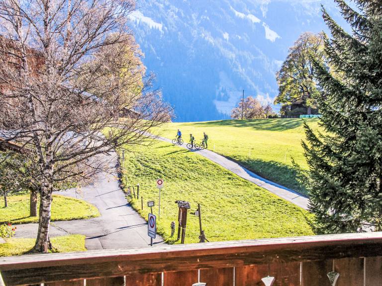 Chalet Bodmisunne — photo 5