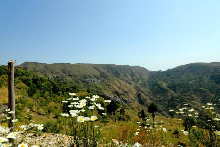 foto5