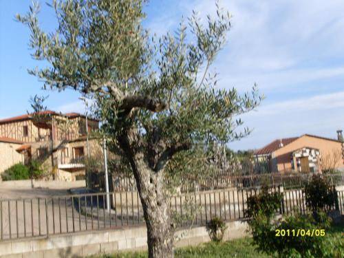 Apartamento  Sequeros