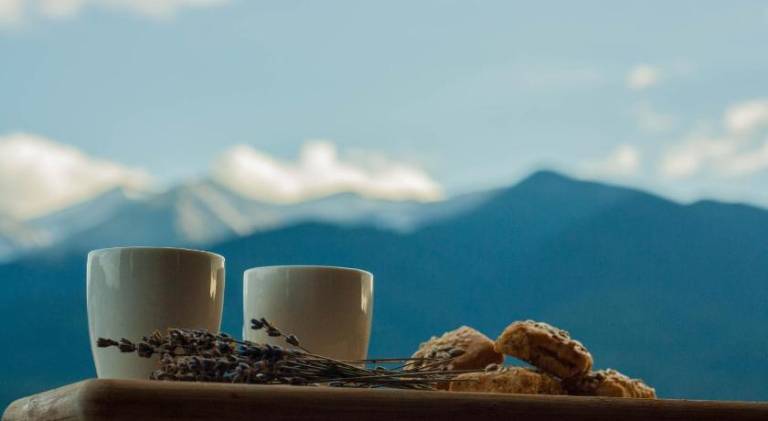 Pirina Club Hotel in Bansko