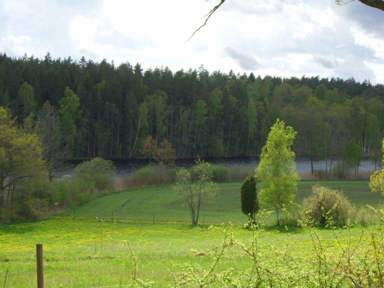 foto9