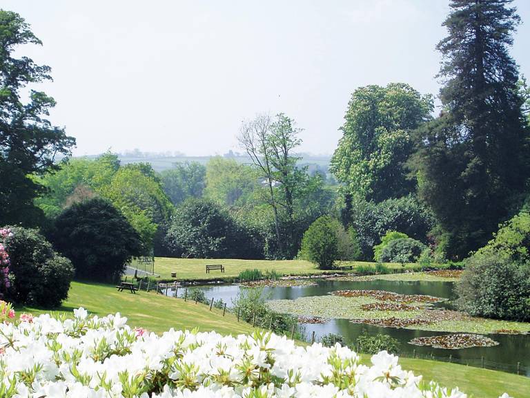 Rosecraddoc Manor Heron