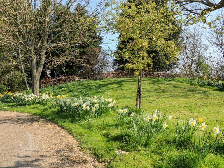 Cottage  Pulborough