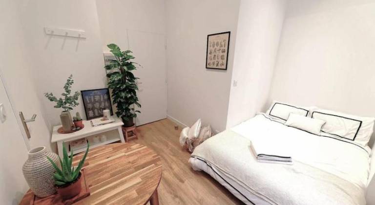 Charming rental apartment | Close to Lyon Cathedral | Pets are welcome in Lyon