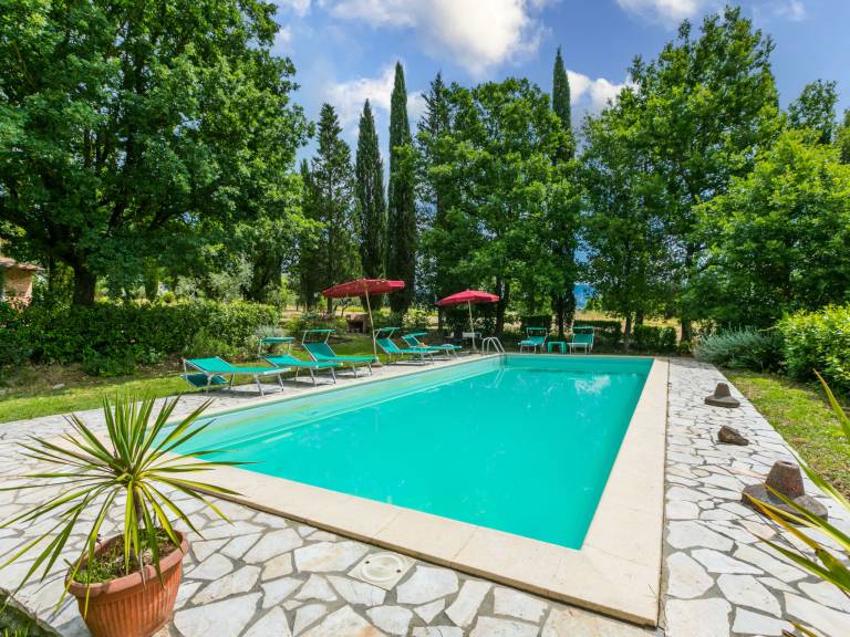 House with yard, private pool & grill — photo 3