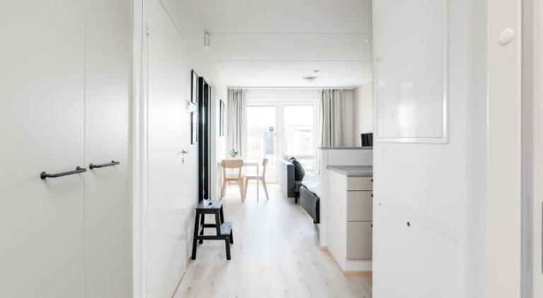 Apartment | Dogs allowed — photo 4