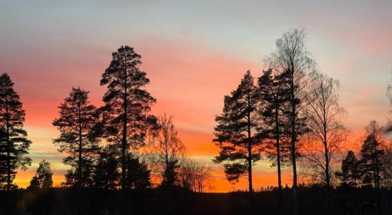 La Foret Hotel in Södertälje