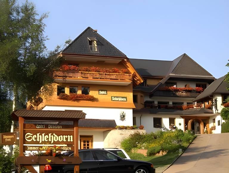 Hotel Schlehdorn in Feldberg