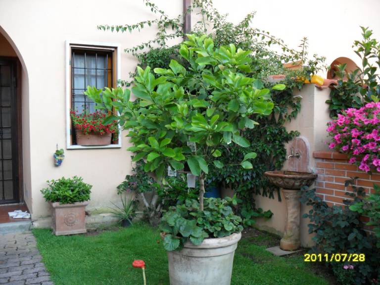 foto1
