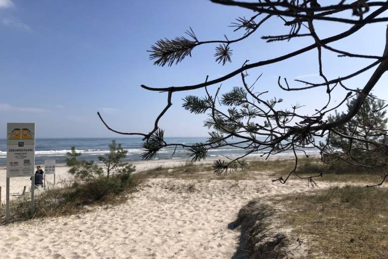 Vacation home with patio | Next to the beach | Pet-friendly in Binz