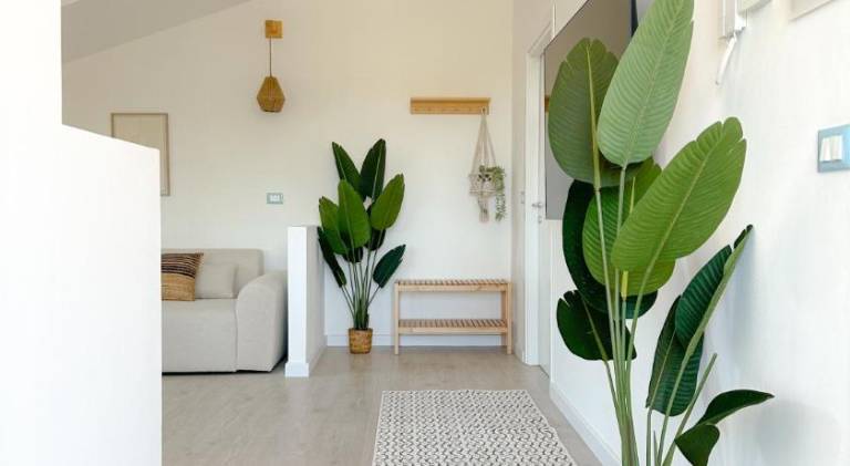 Holiday apartment | Dogs allowed — photo 2