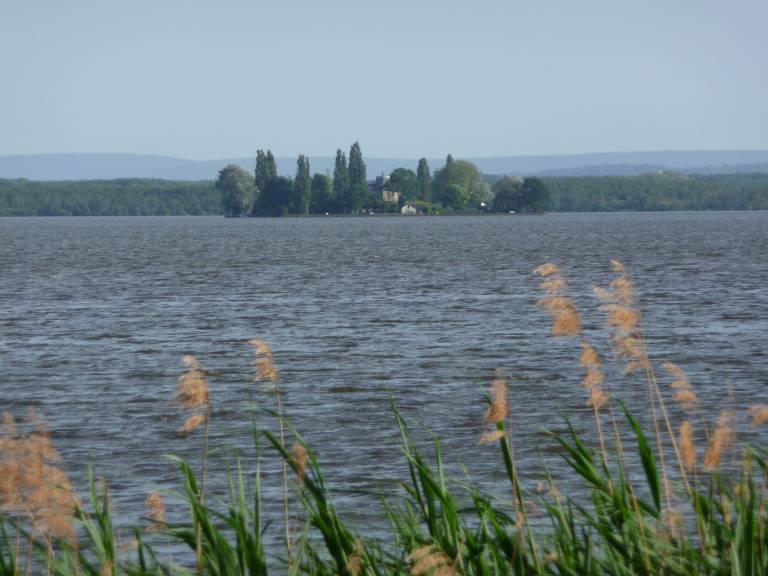 foto20