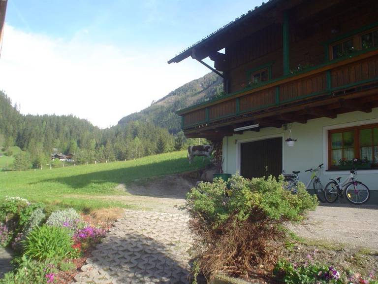 foto4