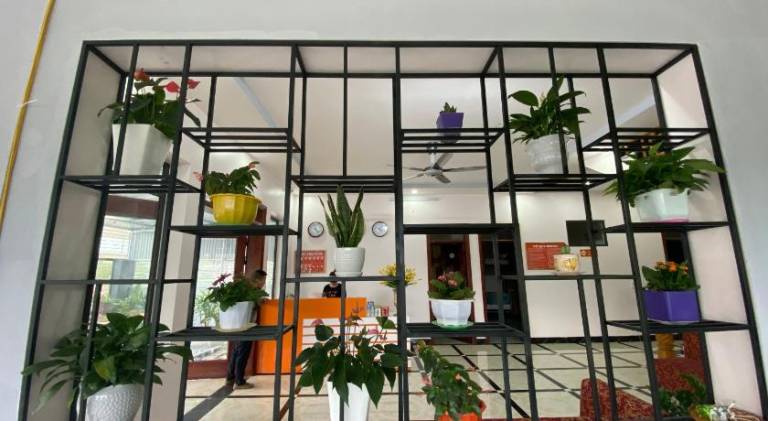 foto8