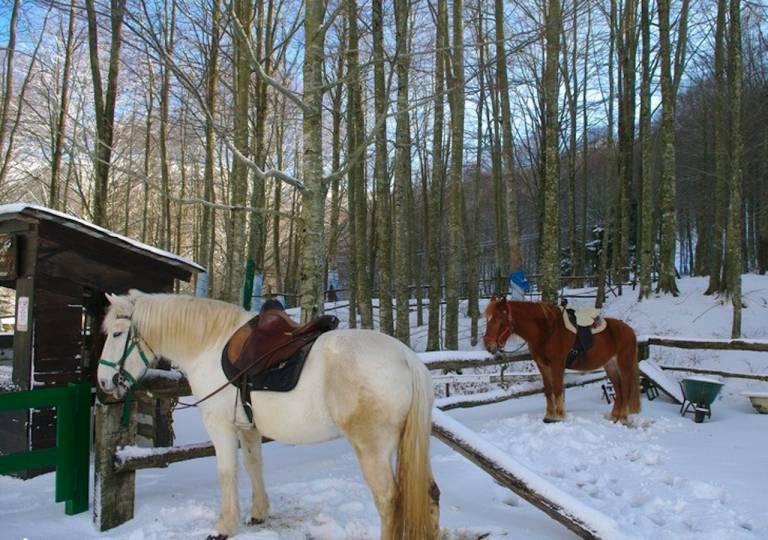 foto14