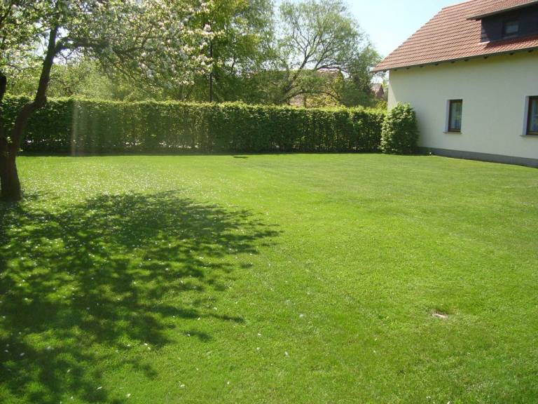 foto18