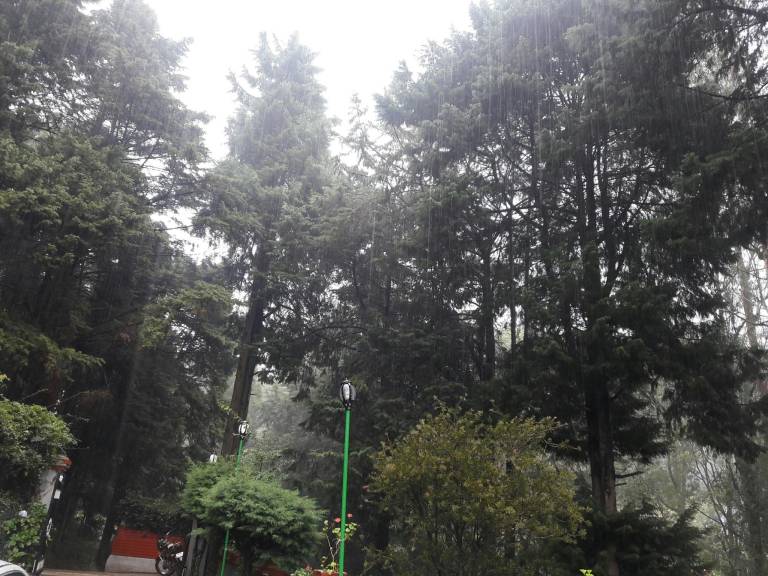 foto42