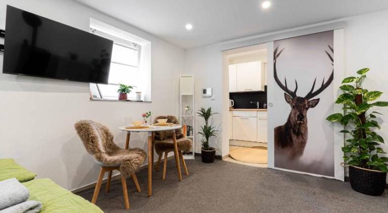 Charming apartment | Pet-friendly in Seebach
