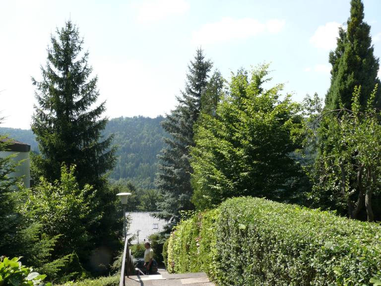 foto18