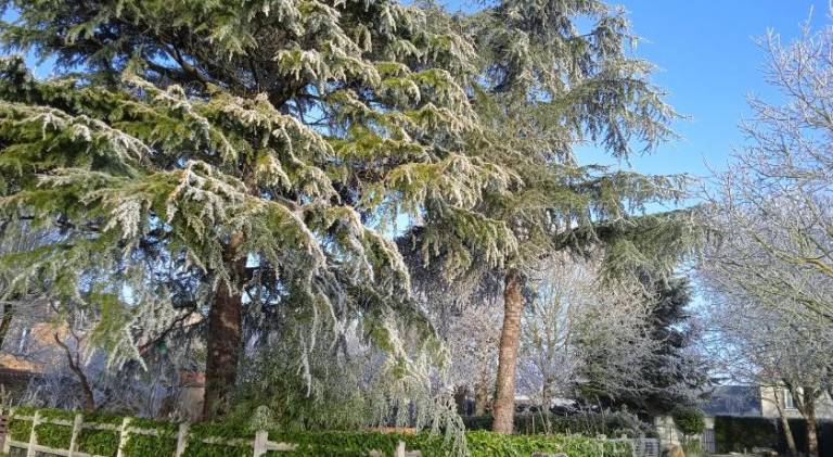 Les Cles du Parc — photo 4