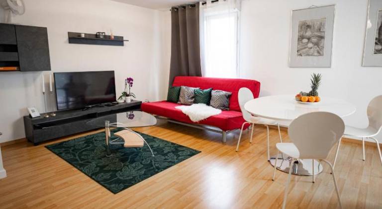 Flat at border suisse in Mulhouse