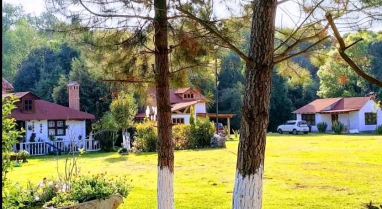 Vacation home with garden & terrace | Dogs allowed in Huasca de Ocampo