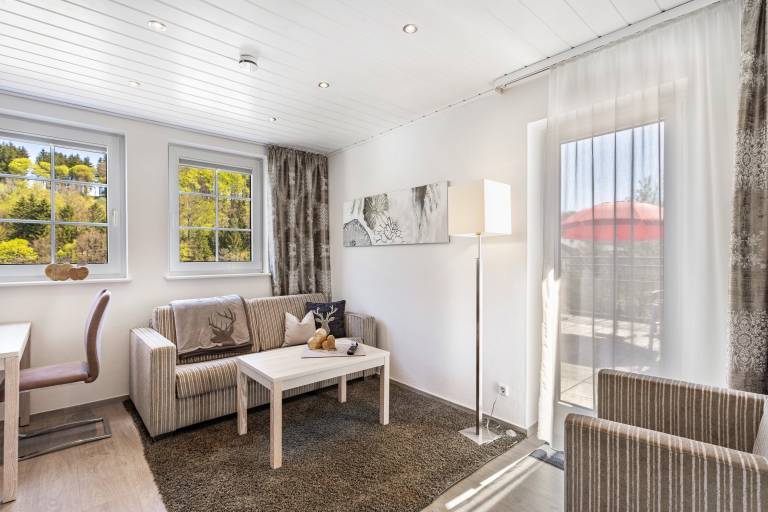 Apartment 'Typ 3' with Shared Garden, Balcony and Wi-Fi in Willingen