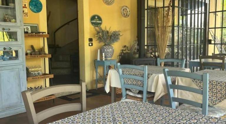 Farm with grill, terrace & garden — photo 5