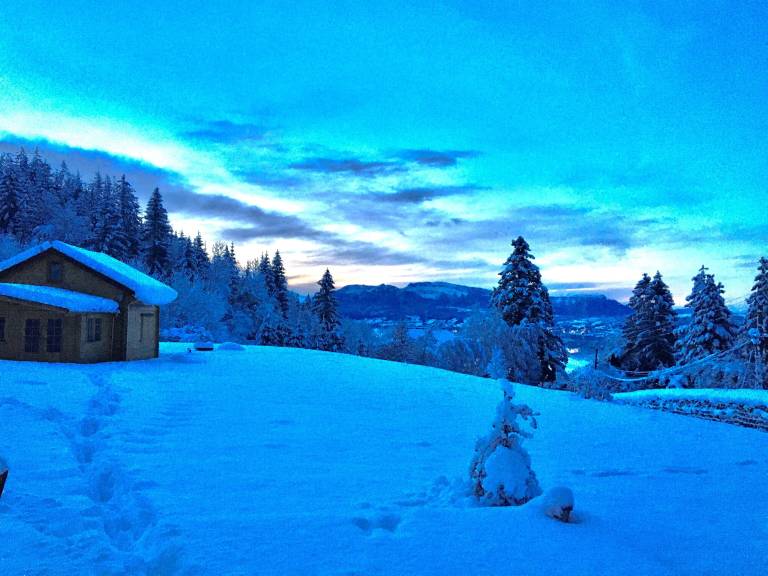Chalet Viuz-en-Sallaz