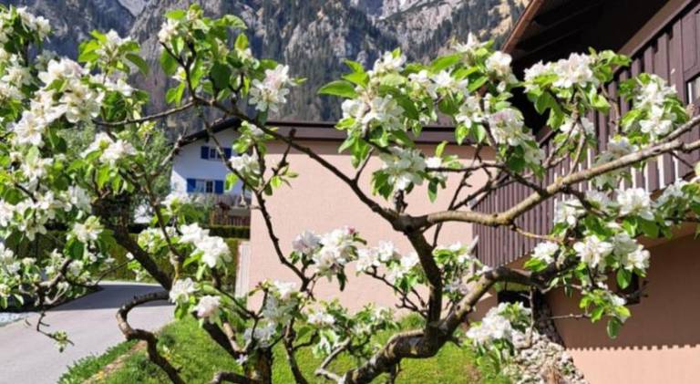 Ferienwohnung Bludenz