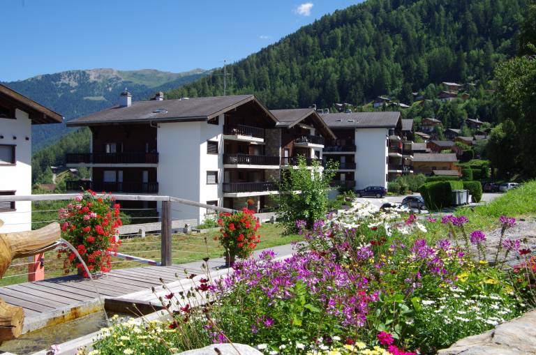 Ferienwohnung  Nendaz