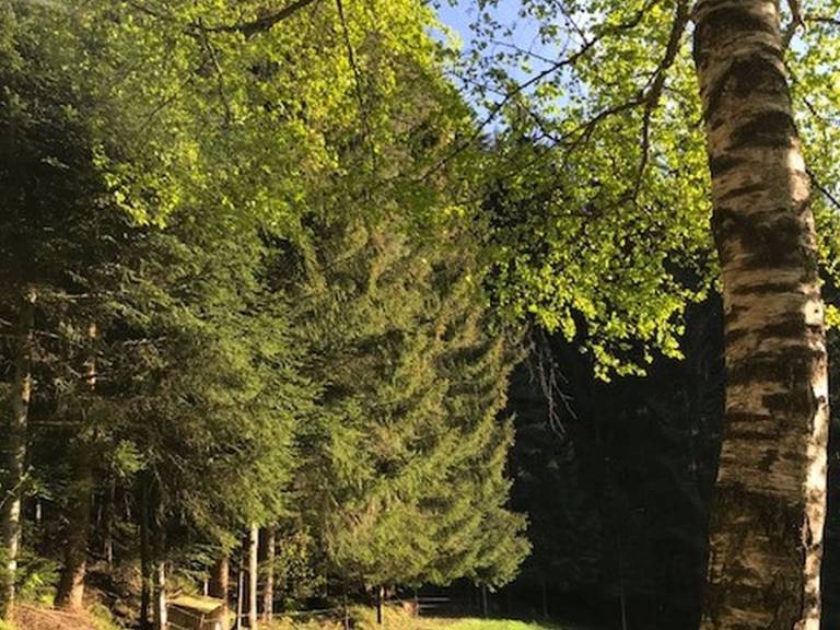 foto29