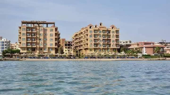 Hurhgada concierge at Turtles beach resort — photo 5
