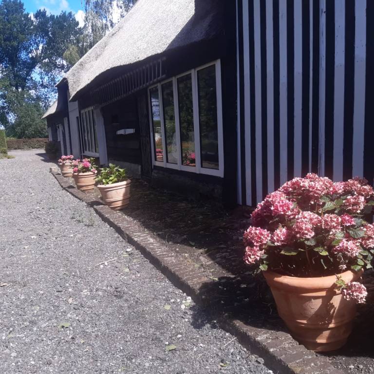 foto41