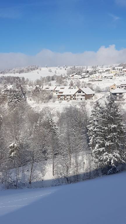Ferienwohnung Sankt Andreasberg