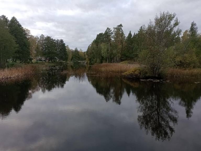 foto17