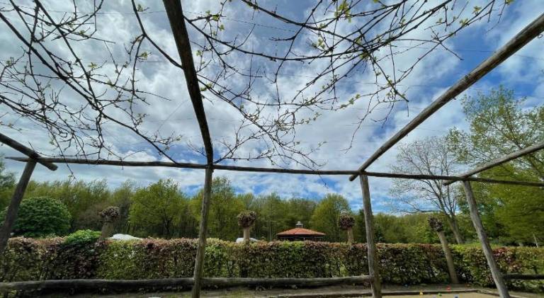 foto41
