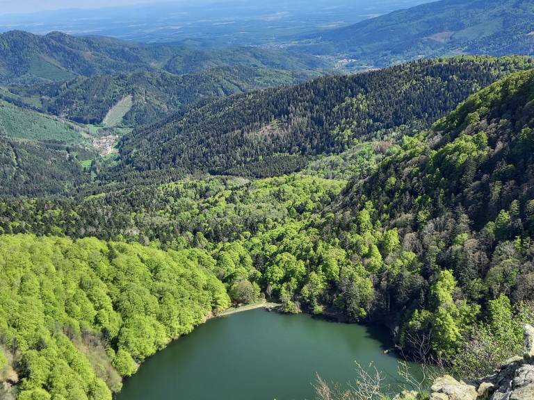 foto20