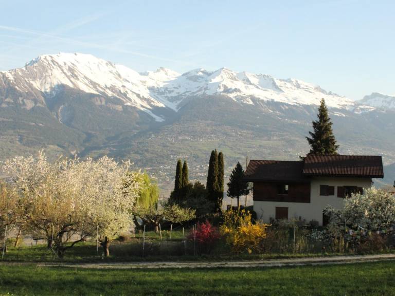 Family-friendly holiday apartment with sauna, hot tub & barbeque | Pets allowed in Vex