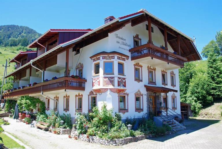 foto1