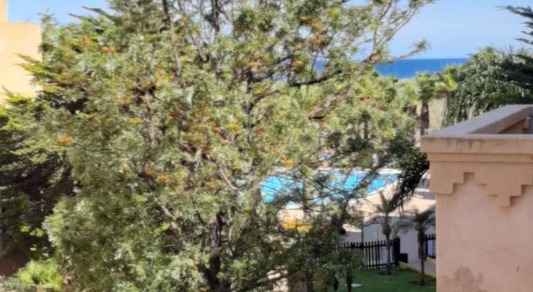 Beautiful rental apartment with pool | Close to the beach | Dogs allowed — photo 5